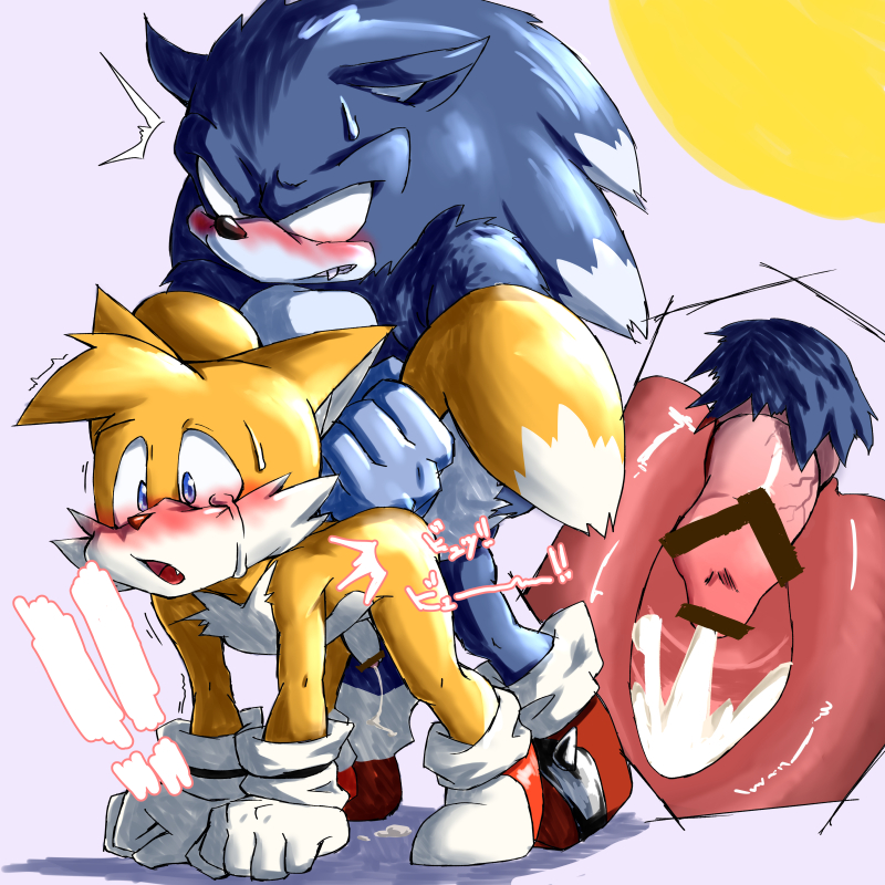 and werehog tails the sonic Why is ganon a pig