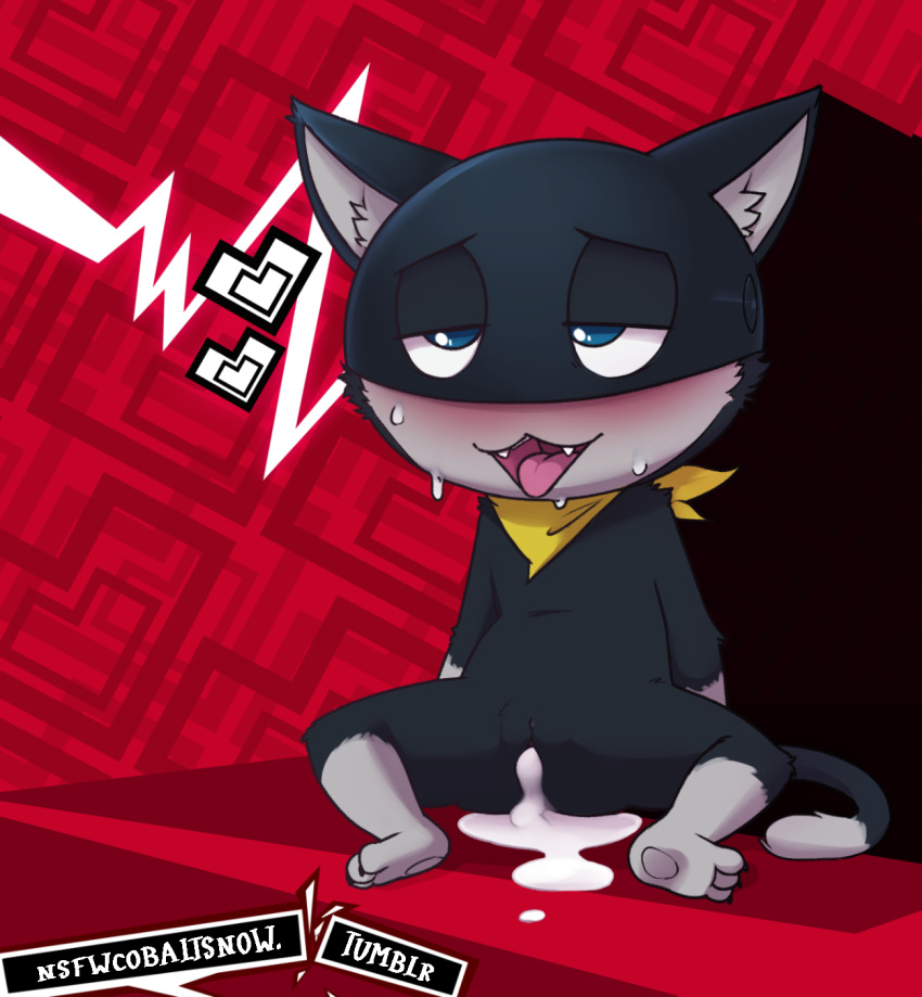 persona 5 morgana Meera the gentle synx monster
